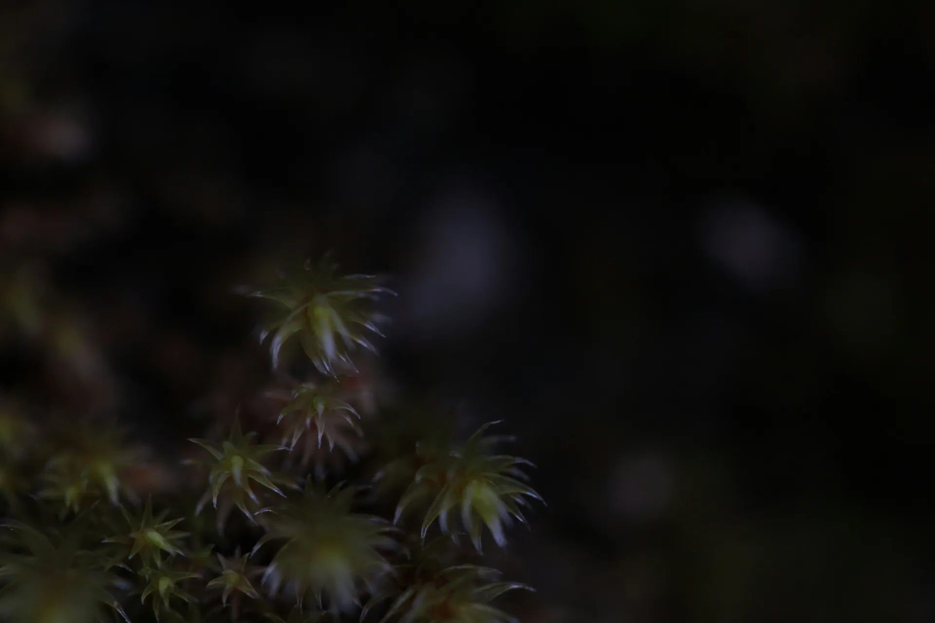 Videolara bağlantı ekleme süreci nedir? Videolara bağlantı ekleme süreci nedir?