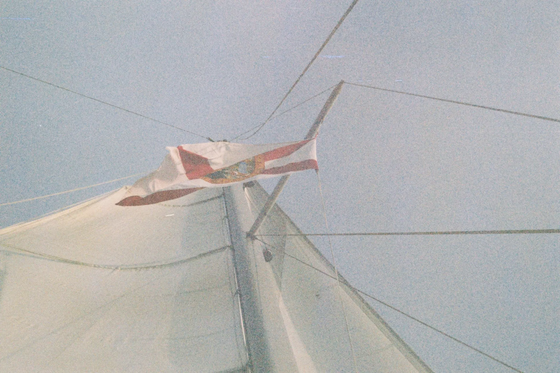 Canva ve RADAAR’i birleştirmek nasıl zaman kazandırıyor? Canva ve RADAAR’i birleştirmek nasıl zaman kazandırıyor?