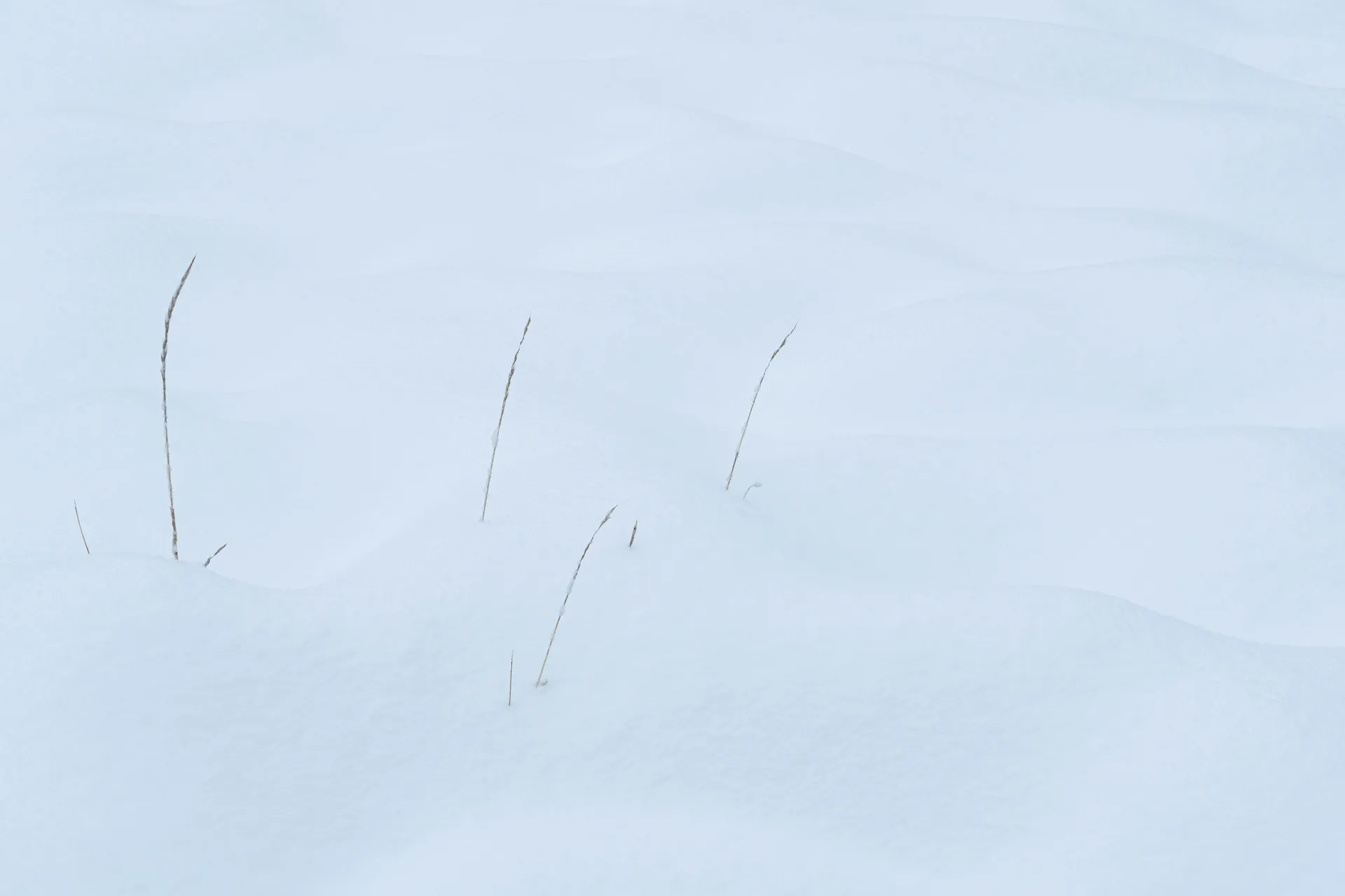 RADAAR, Pinterest için hangi programlama stratejilerini sunuyor? RADAAR, Pinterest için hangi programlama stratejilerini sunuyor?