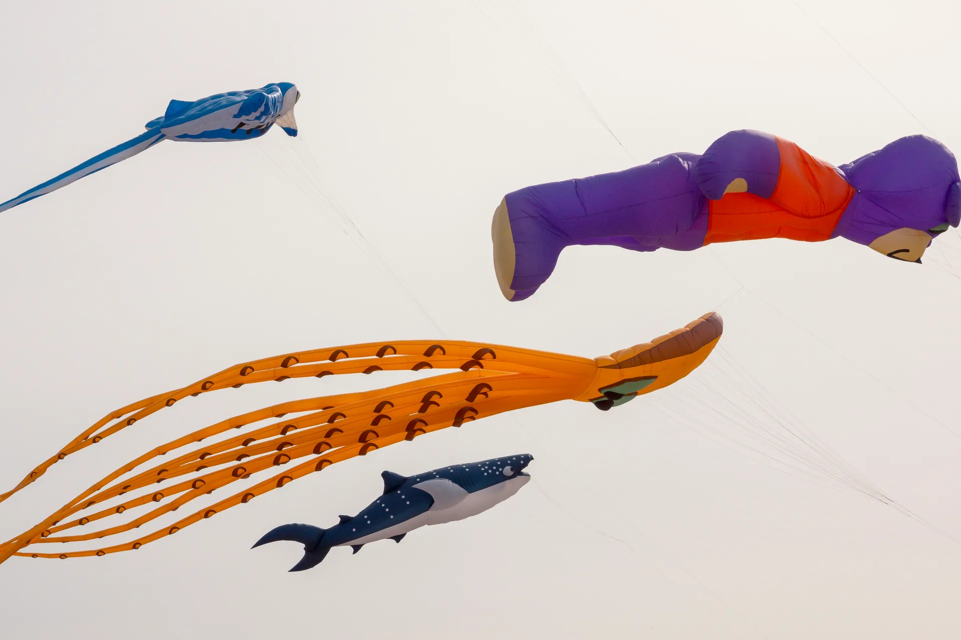 Her iki aracı kullanarak hangi yaratıcı stratejiler maksimum sonuç verir? Her iki aracı kullanarak hangi yaratıcı stratejiler maksimum sonuç verir?