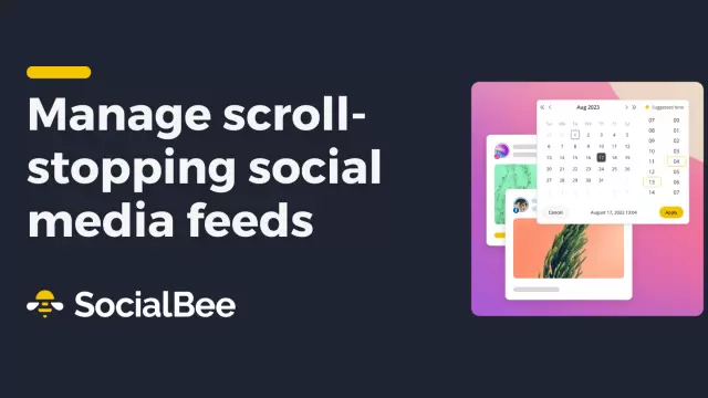 Why choose SocialBee for smarter social media?