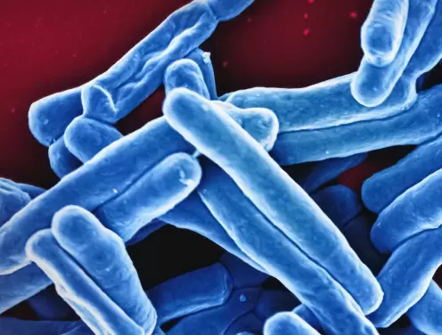 Et si la maladie la plus mortelle manquait juste de marketing?