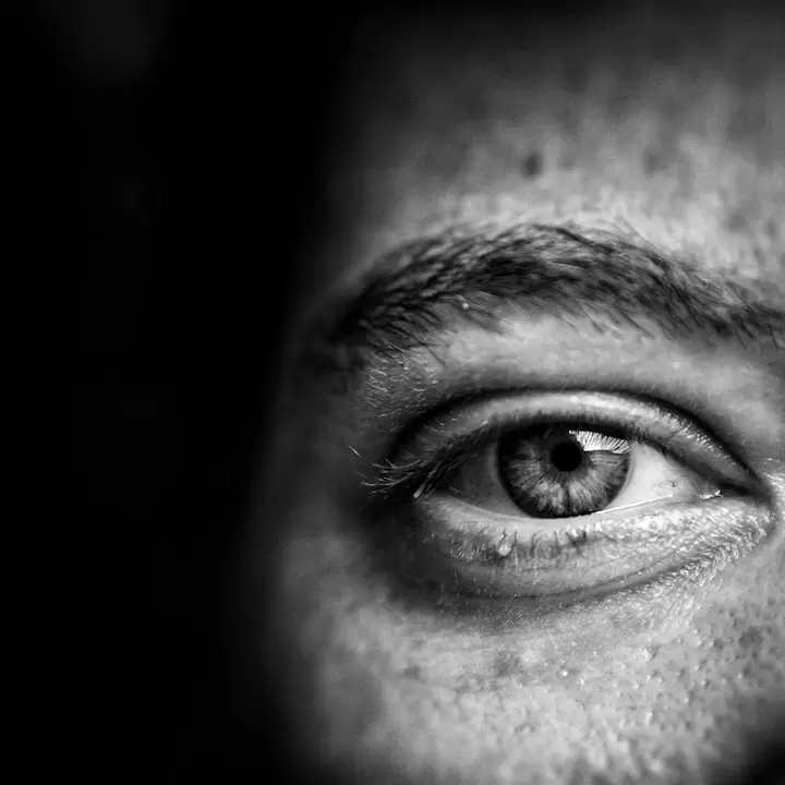 Aralık ayındaki uluslararası özel günler hangileridir?