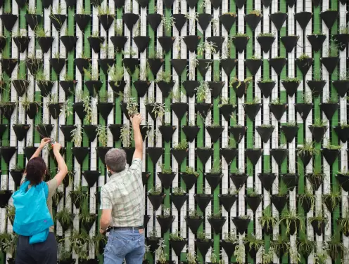 Jagen Sie Likes oder bauen Sie mit Social Media loyale Mitglieder für Ihren Verband auf?