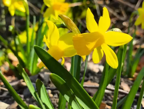 Ready to boost engagement? How can the March 2026 Social Media Holiday Calendar inspire your spring content?