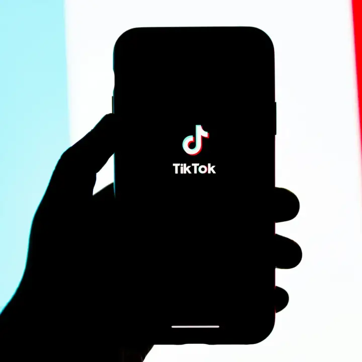 Looking for the best TikTok username ideas for 2026? Wondering how to create a standout handle with over 100 ideas and a free generator?