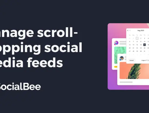Is SocialBee the best social media tool for your brand?