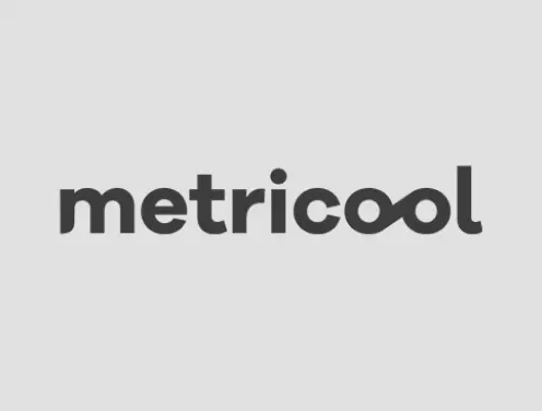 Metricool Альтернатива