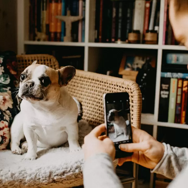 How to get on the Instagram Explore Page 2023!