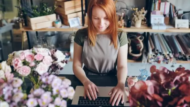 İçerik Stüdyosu nasıl kullanılır? İçerik Stüdyosu nasıl kullanılır?