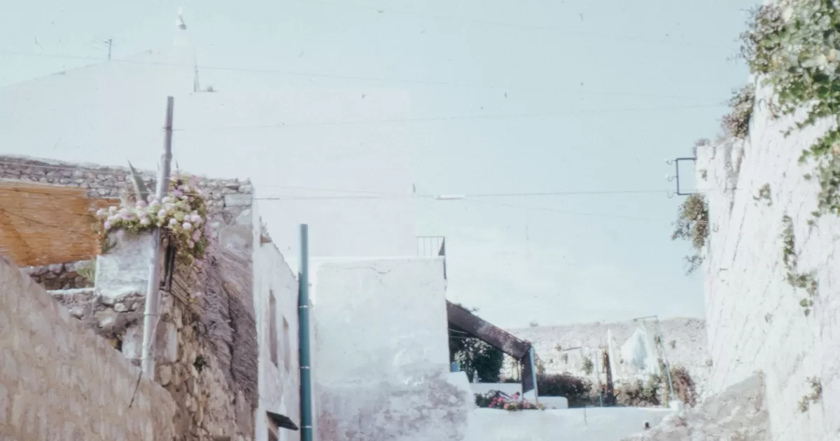 What are the best times to post on social media in Damanhur?