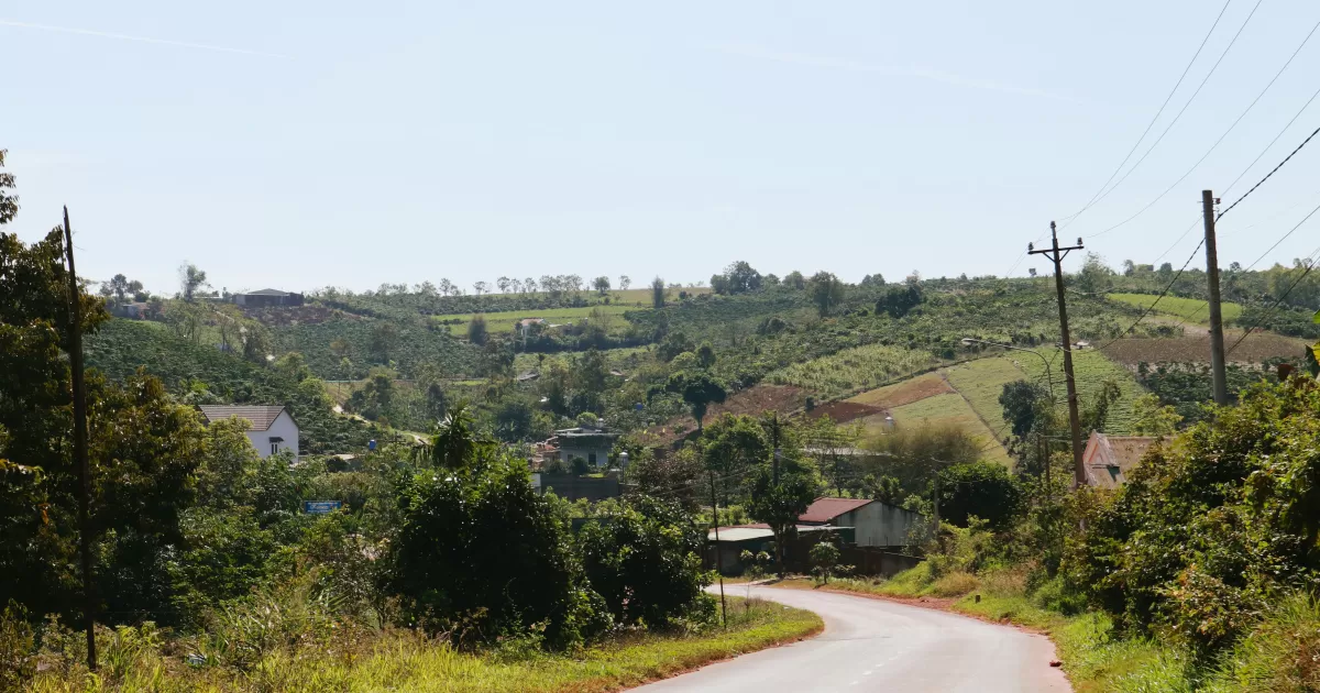 Mbanza-ngungu'da sosyal medyada ne zaman paylaşım yapmalıyız?