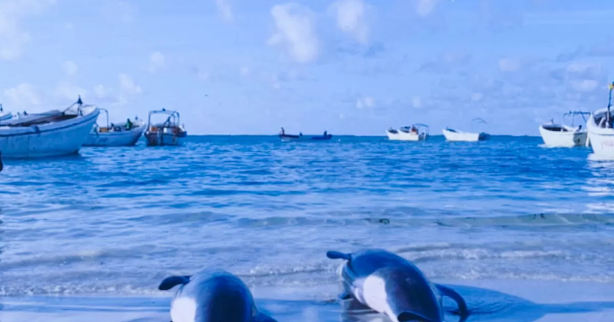 What's the best time to post on social media in Mogadishu?