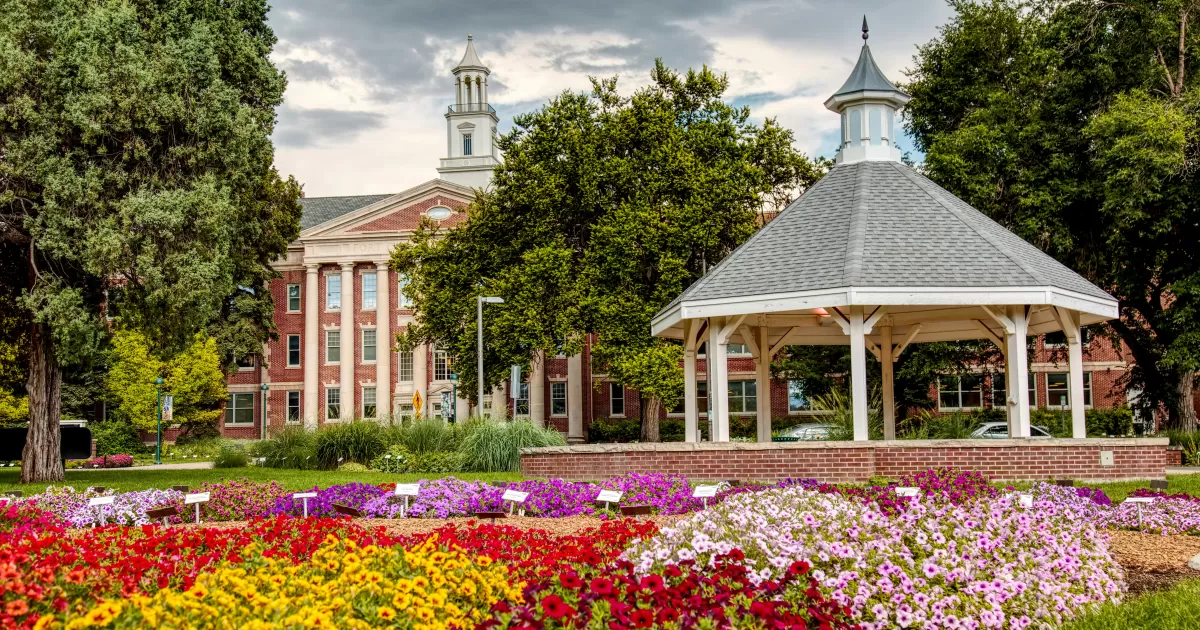 What are the best times to post in Fort-collins?