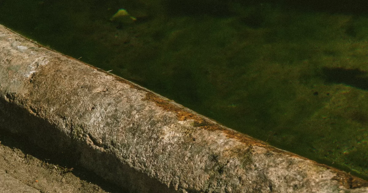 Quels sont les meilleurs moments pour publier sur les réseaux sociaux pour 'Skeldon'?