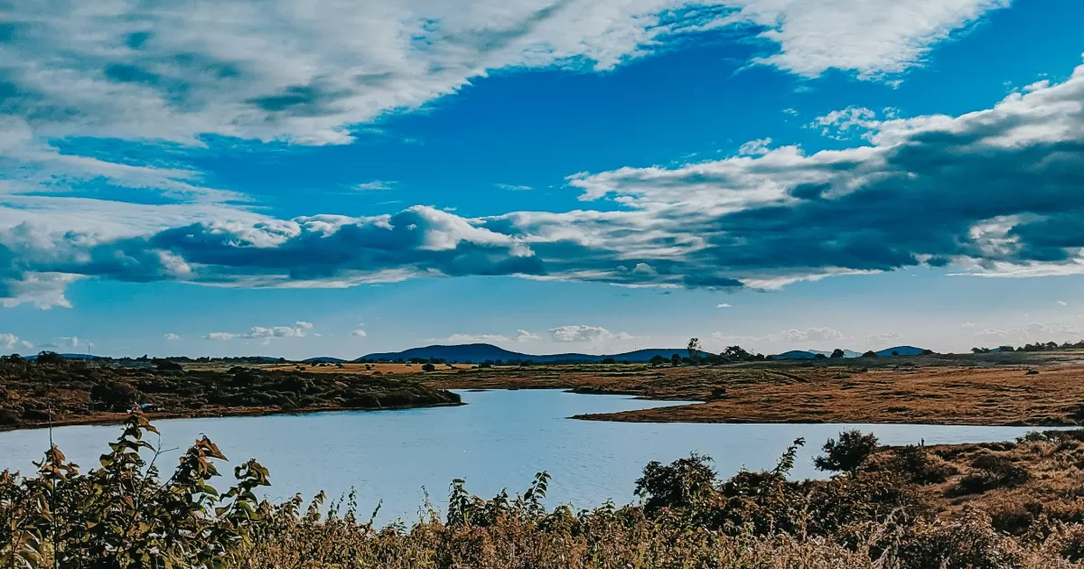 ¿Cuáles son las mejores horas para publicar en redes sociales en Arapiraca?