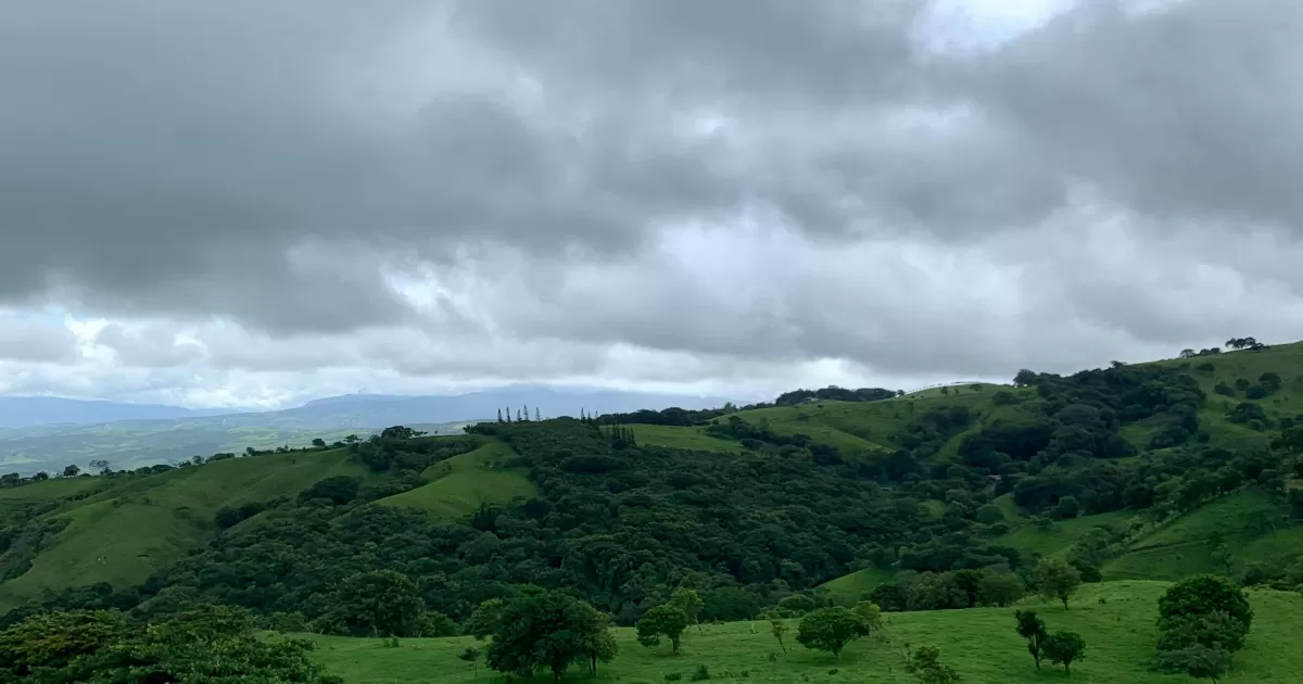 Quali sono i momenti migliori per postare a Monte-verde?