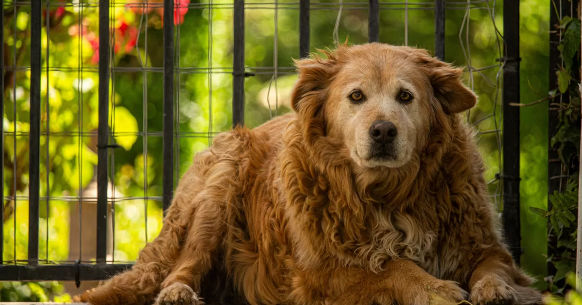 Wann ist die beste Zeit, um in Stockton auf Social Media zu posten?