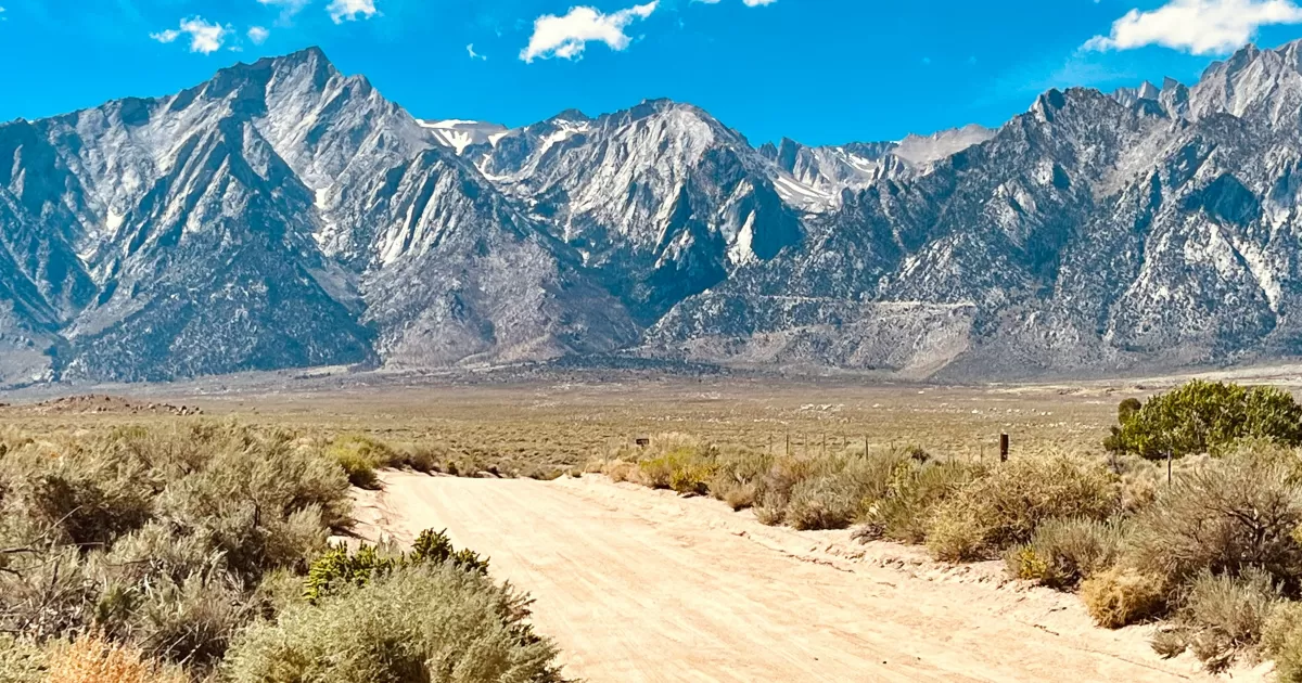 When is the best time to post on Hilla?