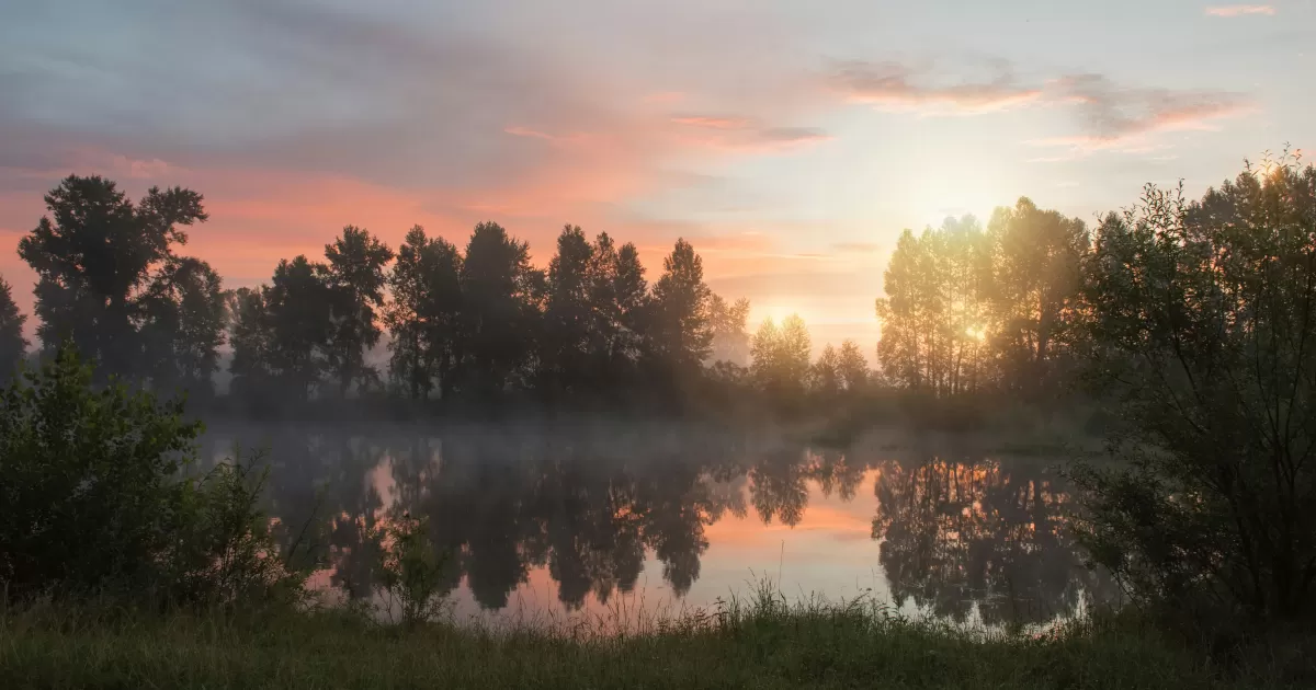 When is the optimal time to post on social media in 'Asia/Krasnoyarsk'?