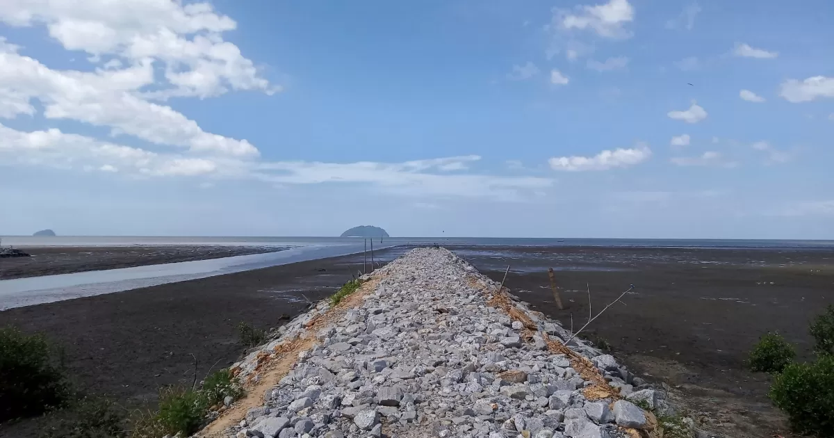 ما هي أفضل الأوقات لنشر المنشورات على الوسائط الاجتماعية لـ'Tao-yan'?