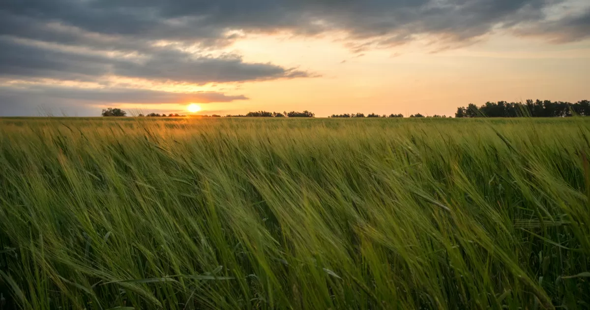 When is the optimal time to post in Kemerovo?