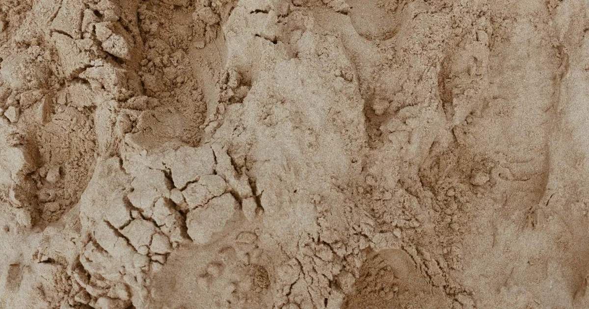 Welche Zeit ist die beste zum Posten auf sozialen Medien für 'Rudny'?