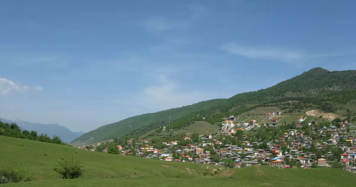 What are the peak times to post on social media in Zugdidi?