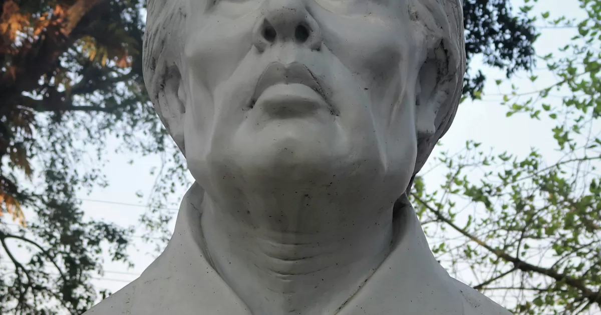 When is the best time to post on social media for 'Chernyshevsky'?