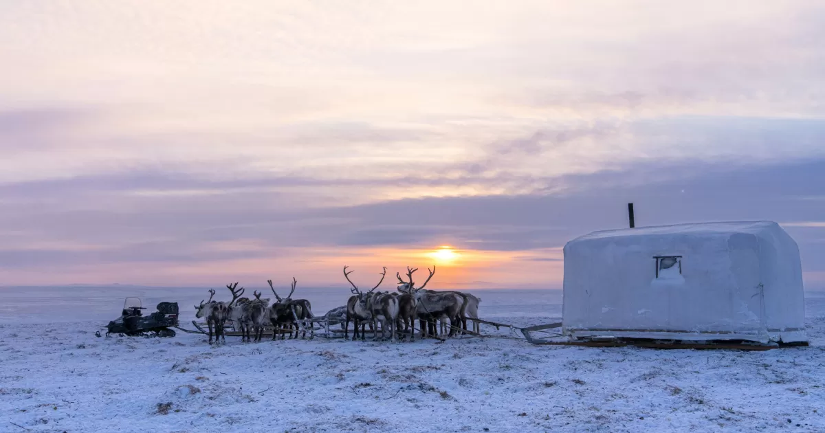 What is the optimal time to post on social media for Dzhebariki-Khaya?