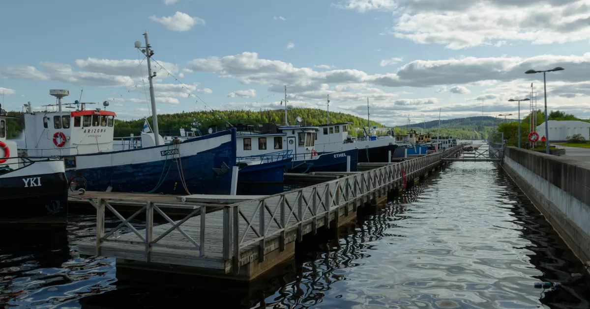 Quels sont les meilleurs moments pour publier sur les réseaux sociaux à Jyväskylä ?
