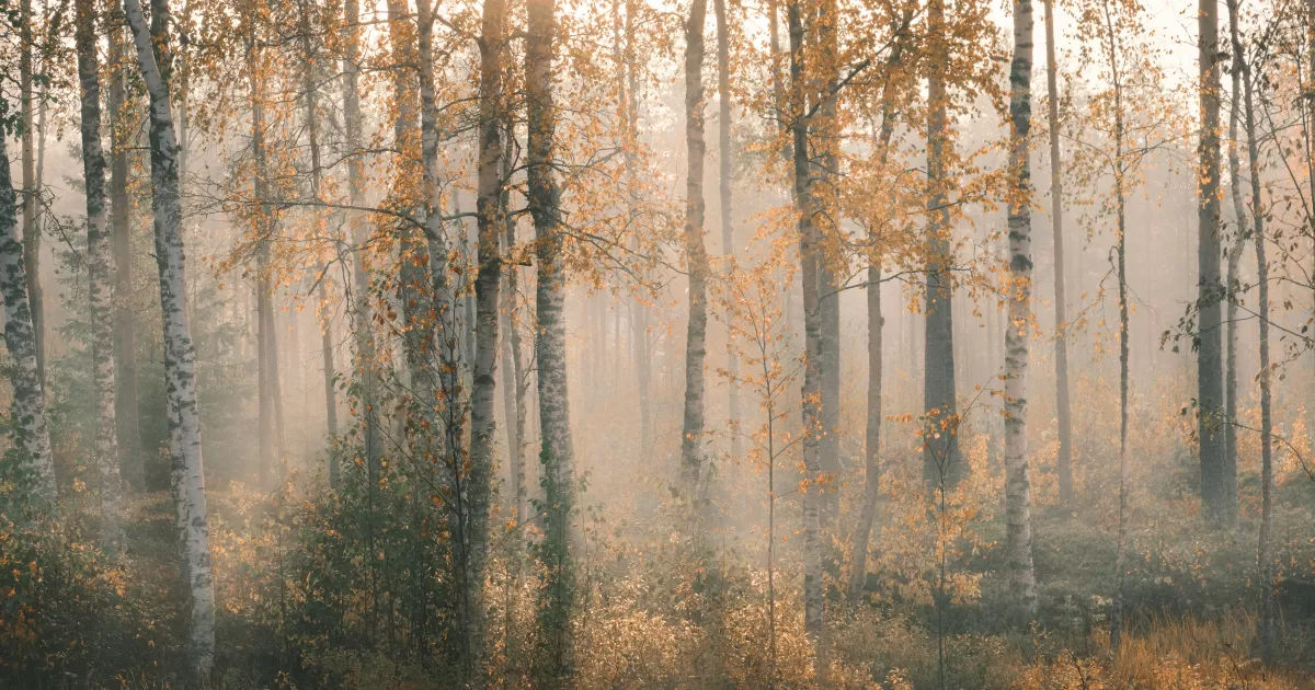 ¿Cuáles son los mejores horarios para publicar en 'Europe/Helsinki'?