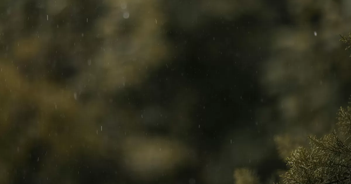 What are the optimal posting times for Kalkandere?