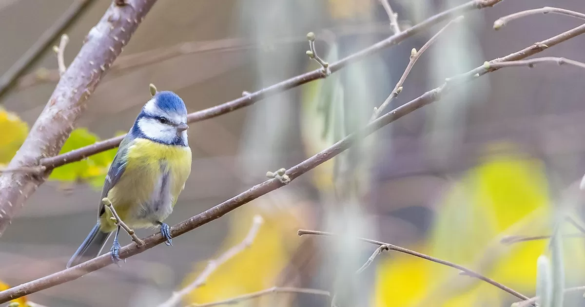 When is the best time to post on social media in Kirklareli?