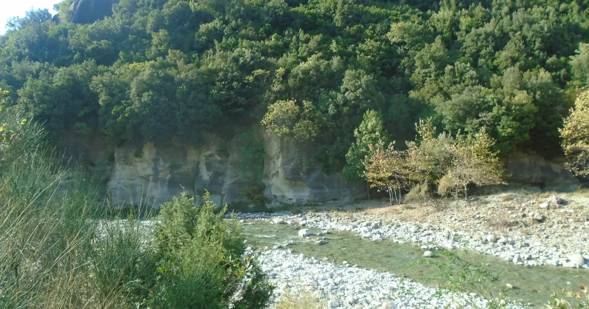 What are the best times to post on social media in Kirsehir?