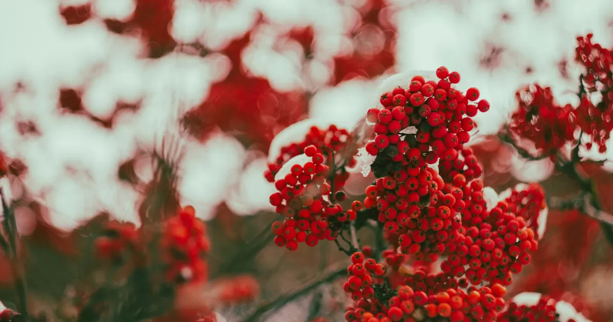 Quels sont les meilleurs moments pour poster sur les réseaux sociaux à Dzerzhinsk ?