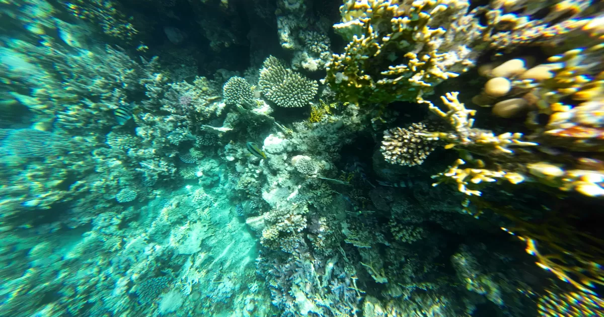 Welche Zeiten sind am besten für Social Media-Posts in Korablino?