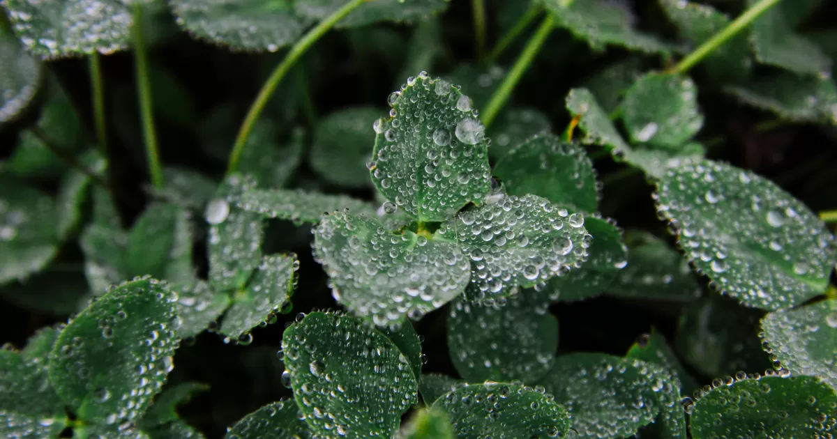 Welches sind die besten Zeiten, um in Lakinsk auf Social Media zu posten?