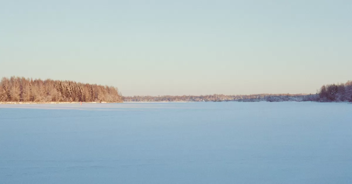 Quel est le meilleur moment pour publier sur les réseaux sociaux à Lodeynoye-Pole ?