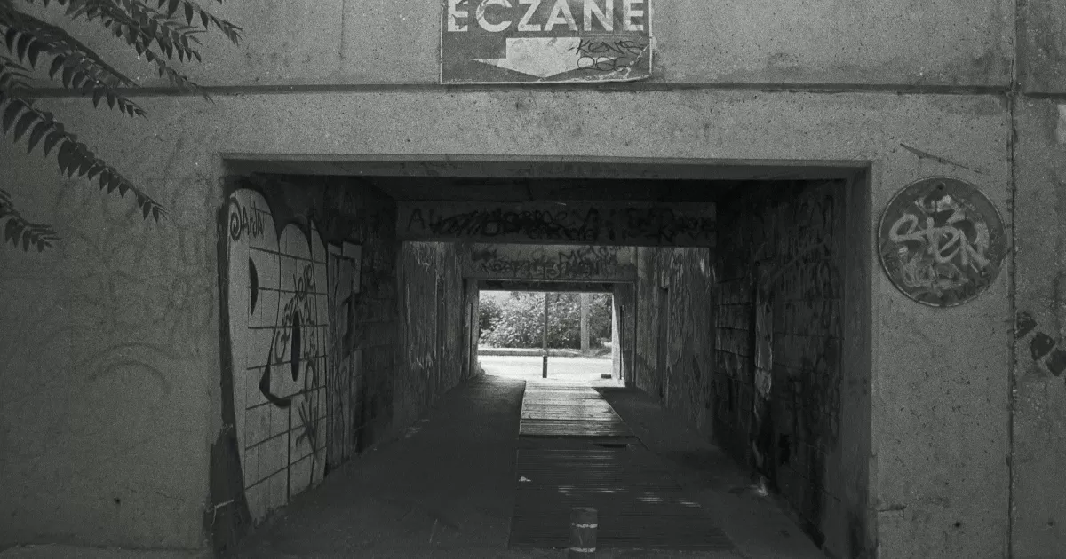 What are the best times to post on social media for Zyuzya?