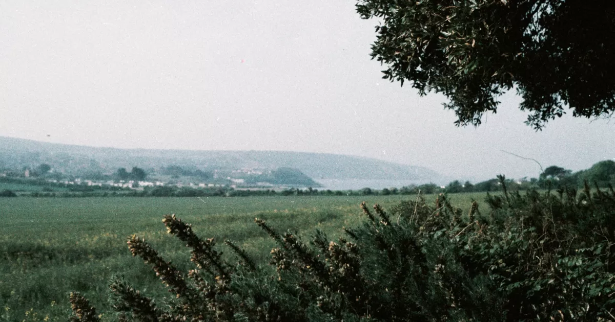 Какое время наилучшее для публикации в социальных сетях для 'Chambourcy'?