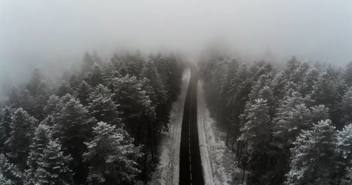 ¿Cuáles son las mejores horas para publicar en redes sociales en Saint-étienne?