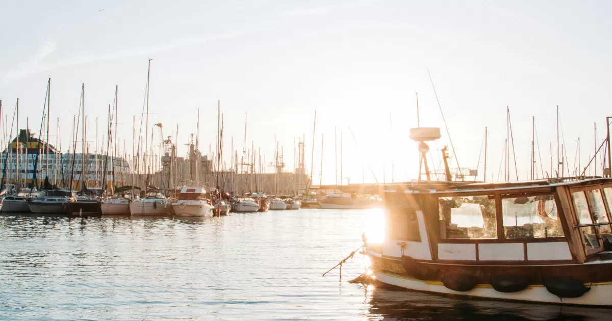 Когда лучше всего публиковать в социальных сетях для 'Europe/Paris'?