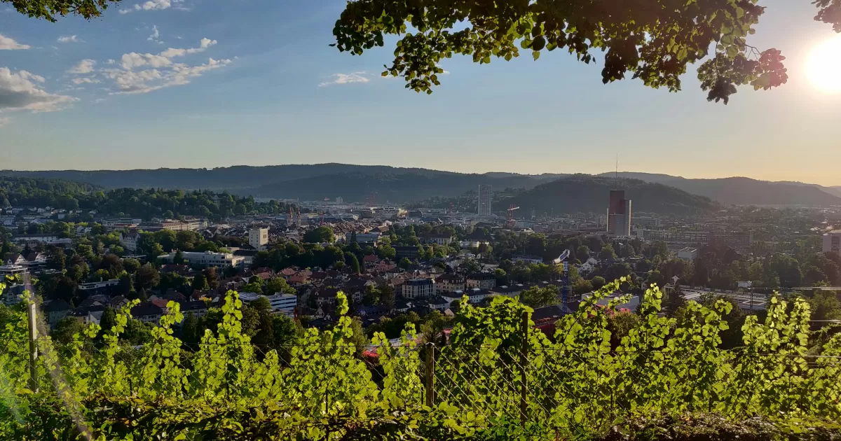 When is the best time to post on social media in Winterthur?