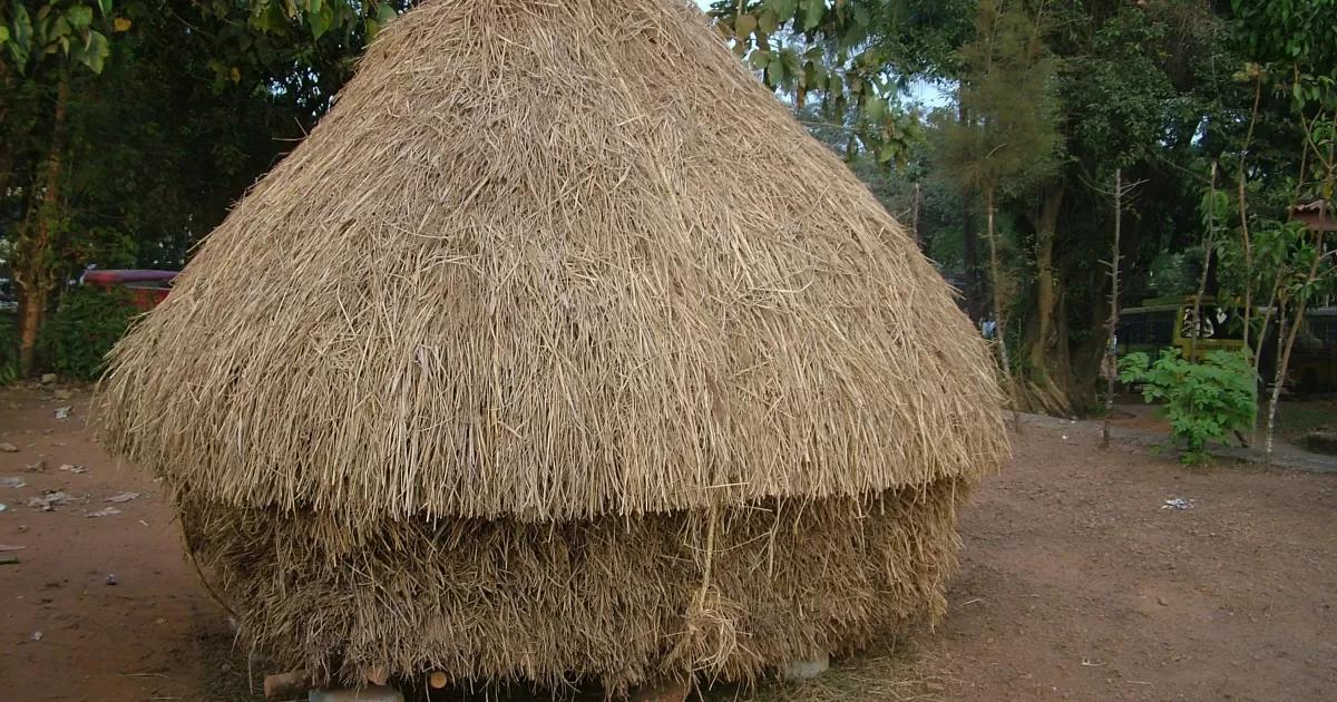 Quels sont les meilleurs moments pour poster sur les réseaux sociaux à Koungou ?