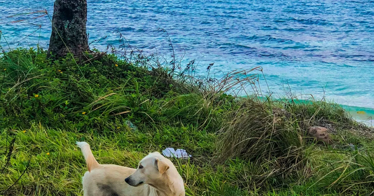 When is the best time to post on social media in Majuro?