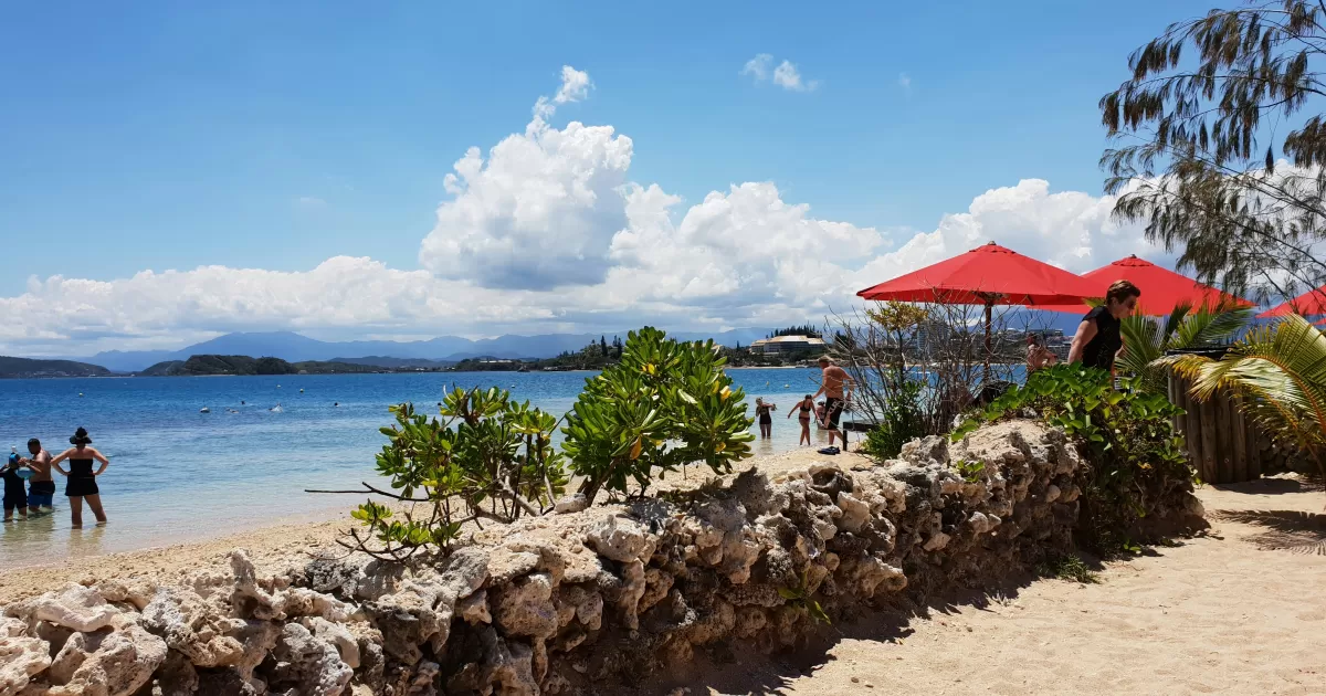 Quali sono i migliori orari per postare su Social Media a Noumea?