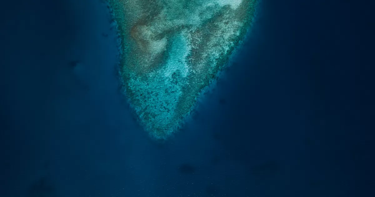Qual è il momento migliore per postare su Paea?